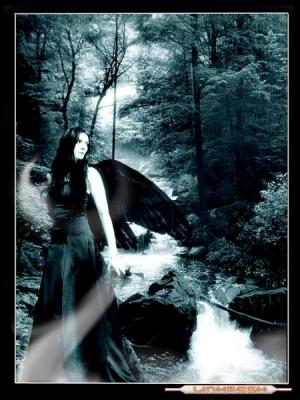 20071215203347-angel-oscuro.jpg