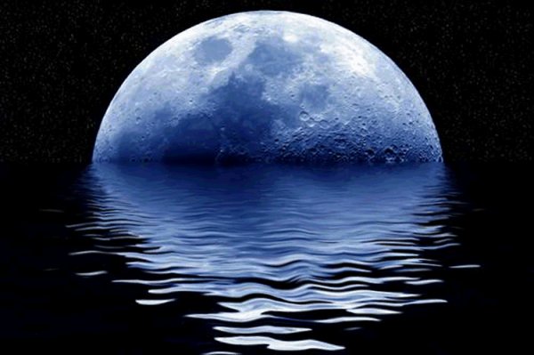20080430230933-luna.jpg